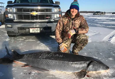 130-летний осетр-гигант пойман в США - Fishing Style