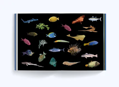 Атлас «Рыбы индийского океана» / Все о дизайне / Pollskill
