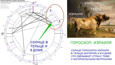 Новости Израиля. АКУЛА-СМЕРТЬ У БЕРЕГОВ ИЗРАИЛЯ. Выпуск 434. Радио Наария.  חדשות בארץ - YouTube