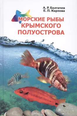 Эксперт в Крыму рассказал, как правильно выбрать охлажденную рыбу | ИА  Красная Весна