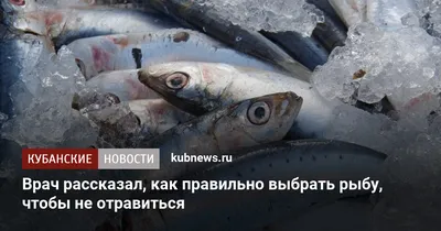 Жители города на Кубани нашли много мёртвой рыбы в реке | «И так была  речка-вонючка, а теперь ещё и рыба подохла». Мёртвая рыба, замусоренные  берега — жители краснодарского Тимашевска показали в Instagram,