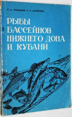 Гастрофестиваль «Хамса»: жители Кубани смогут попробовать деликатесы из  черноморской рыбы. 24.10.2023 г. Телеканал «Краснодар»