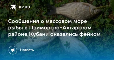 Наука оценит рыбные возможности реки Кубань