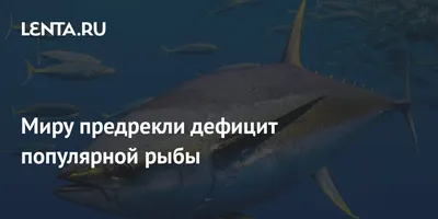 Подводный мир Каспия: кто живет на дне морском - ВОДА РОССИИ