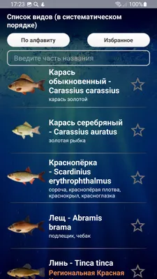 Сорта северной рыбы - Frost Fish