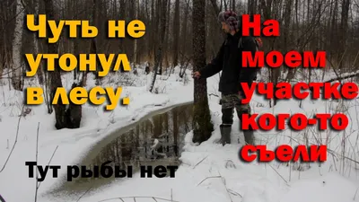 Здесь рыбы нет! Новый канал о рыбалке? | Здесь рыбы нет! | Дзен