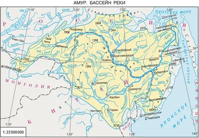 Рыбное «население» Амура внесли в атлас