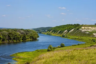 Кто мог заморить рыбу в Данковском районе? — LipetskMedia