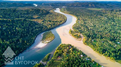 Рыбы больше — рекам лучше. СГК зарыбляет сибирские водоемы - «СГК Онлайн»