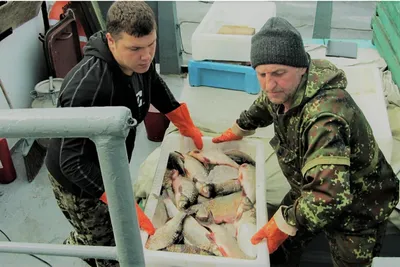 Профессиональный рыбак назвал лучшие места для рыбалки в Новосибирской  области - sib.fm