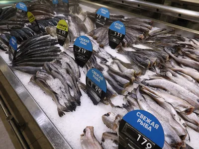 Потребление рыбы в России в ближайшие годы может снизиться на 5-7% –  Агроинвестор