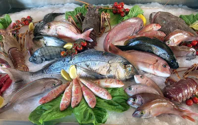 Потребление рыбы в России сокращается с каждым годом - Росконтроль
