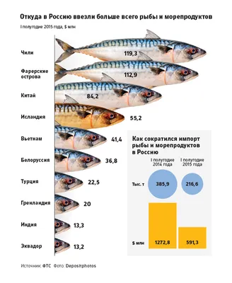 Золотая рыба: России грозит дефицит рыбной продукции из-за нового эмбарго —  РБК