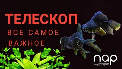 Телескоп чёрный