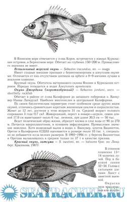 5 очень ядовитых рыб в мировом океане | Популярная наука | Дзен