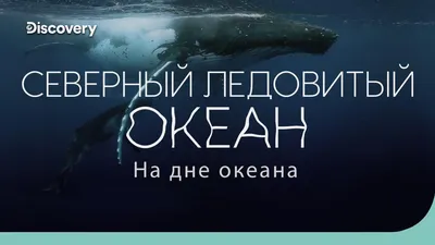 Ученые обнаружили рыбу на рекордно большой глубине