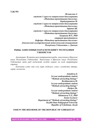 В Самаркандской области погибло 300 тонн рыбы – Новости Узбекистана –  Газета.uz