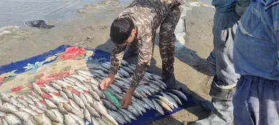 Охота и рыбалка в Узбекистане (полезные штучки) | Facebook