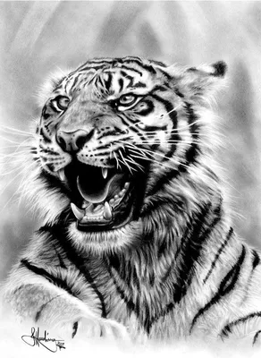 Фигура \"Рычащий тигр\" рыжий, 11х5,5х7см (7291061) - Купить по цене от  379.00 руб. | Интернет магазин SIMA-LAND.RU