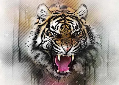 Фото Рычащий тигр, by kenket