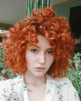 Фотографии Девушки сером фоне смотрит рыжих Красивые кудри волос