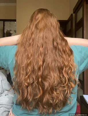 Девушка 20 лет, рыжие кудрявые волосы…» — создано в Шедевруме