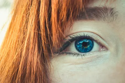 Зеленые глаза Фотограф @fotovgorode Модель @re_foxy_dariy #рыжиеволосы  #рыжаядевушка #ginger #gingergirl #model #gingermodel #модель… | Instagram