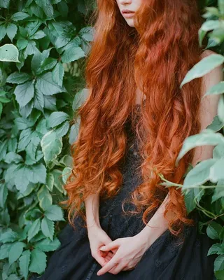 Красные волосы со спины - 53 фото