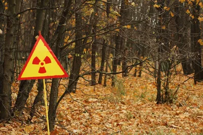 Крупный пожар охватил «Рыжий лес» рядом с Чернобыльской АЭС | Атомная  энергия 2.0