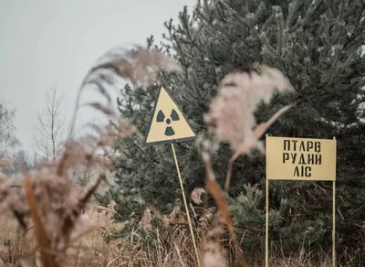 Чернобыльская АЭС - оккупанты вырыли окопы в Рыжем лесу - Апостроф