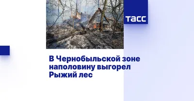 Лесные пожары в Чернобыльской зоне отчуждения. Огонь охватил \"Рыжий лес\" и  подошел к хранилищу ядерных отходов - Цезариум