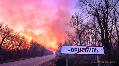 РИА Новости / Илья Питалев / Перейти в фотобанк читать в Яндекс О Дзен  Генерал-полковник, герой России Владимир Шаманов Все разговоры про якобы  облучение наших бойцов в рыжем лесу и Чернобыле -