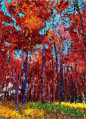 Рыжий лес.. Фотограф Леонид Павшок