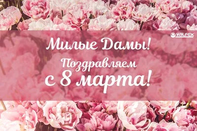 Милые женщины, с 8 Марта!