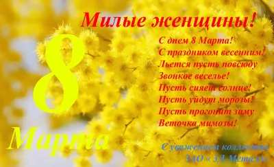 Милые женщины, с 8 Марта! | Новости интернет-магазина Karniz.ru