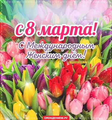 Открытка с 8 марта, с тюльпанами и красивым поздравлением • Аудио от  Путина, голосовые, музыкальные