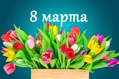 С праздником 8 марта, дорогие женщины!