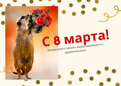 Красивые и прикольные открытки с 8 марта - Новости на KP.UA