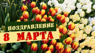 Поздравления с 8 марта 2021 - лучшие открытки для мамы, бабушки, сестры и  подруги - Апостроф