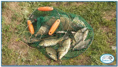 Садок для рыбы -- TutKlev.ru - Рыбалка и рыболовные снасти