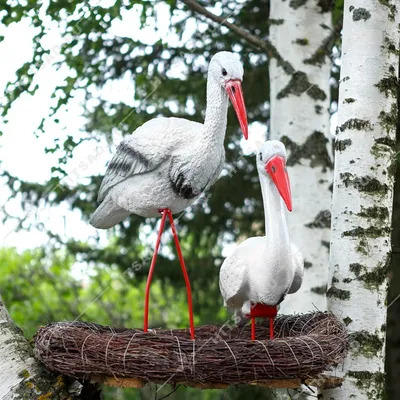 Садовая камышевка (Acrocephalus dumetorum). Птицы Европейской России.