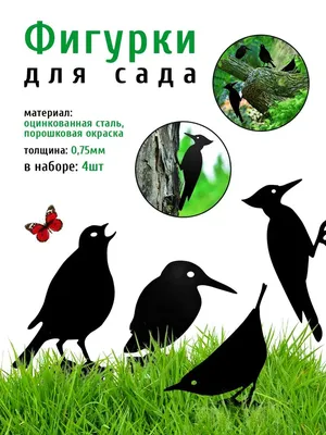 Иллюстрация 1 из 5 для Птицы дач и садовых участков - Владимир Бабенко |  Лабиринт - книги. Источник: