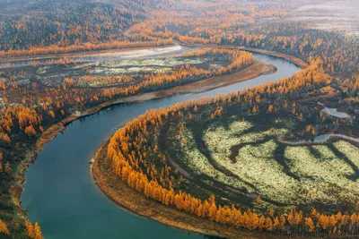 Саянское Кольцо, Туроператор