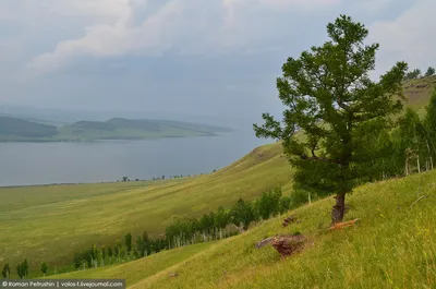 Саянское кольцо