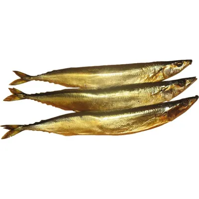 Сайра рыб моря в упаковке вакуума Стоковое Фото - изображение насчитывающей  здорово, свеже: 116281106