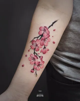 Реалистичная Тату Сакура на Руке Девушки | Cherry tattoos, Blossom tattoo,  Cherry blossom tattoo