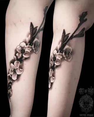 Татуировка женская реализм на предплечье сакура - мастер Александр  Pusstattoo 5591 | Art of Pain
