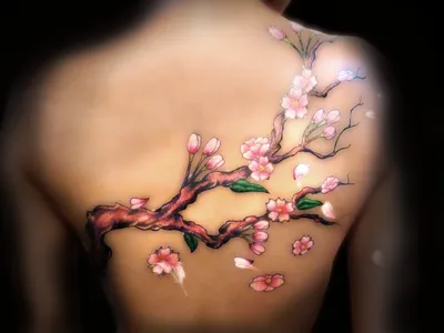 ТАТУ САКУРА Нежные цветы сакуры... - Lu Tattoo Studio | Facebook