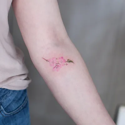 Эскиз татуировки маленькая сакура» — создано в Шедевруме