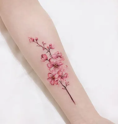 Тату эскизы \"Сакура\" - VeAn Tattoo